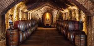 Wine ages in oak barrels at Benmarl Winery